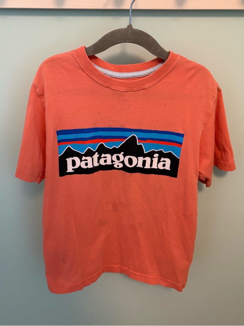 Patagonia Kids Coral Graphic Logo Tee
